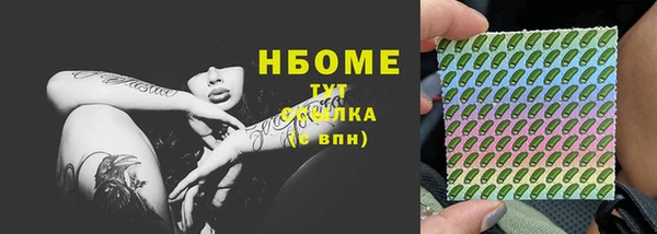 прущие грибы Михайловка