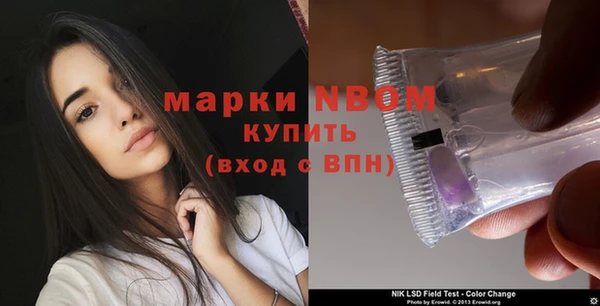 прущие грибы Михайловка