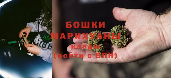 прущие грибы Михайловка