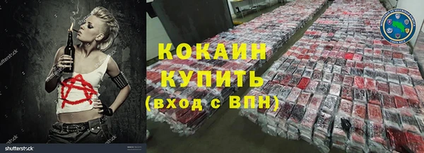 прущие грибы Михайловка