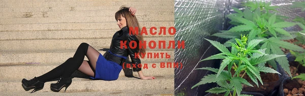 мдпв Вяземский